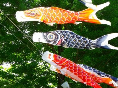 おしゃれ室内鯉のぼり ベランダ飾り方おすすめ 横浜デート人気おすすめ