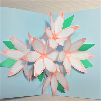 飛び出すポップアップカードの手作り折り紙花 夏休み自由研究工作にも 横浜デート人気おすすめ