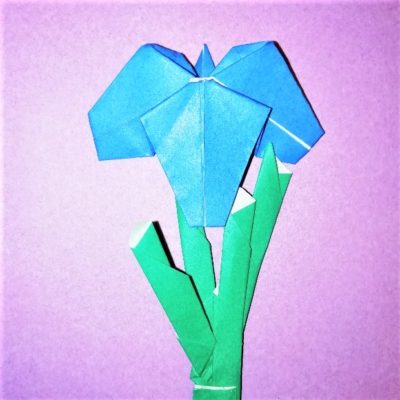 折り紙の菖蒲のほぼ立体な折り方作り方 あやめ かきつばた 横浜デート人気おすすめ